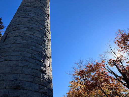 The Irish Round Tower was an amazing way to learn about Irish culture and see something that could be in Ireland without having to leave the country. 