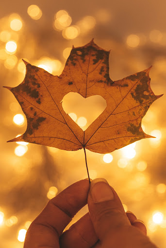 Fall leaf with a heart