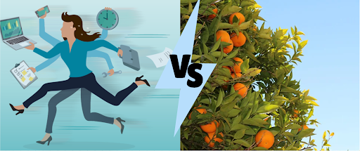 Busyness vs Fruitfulness