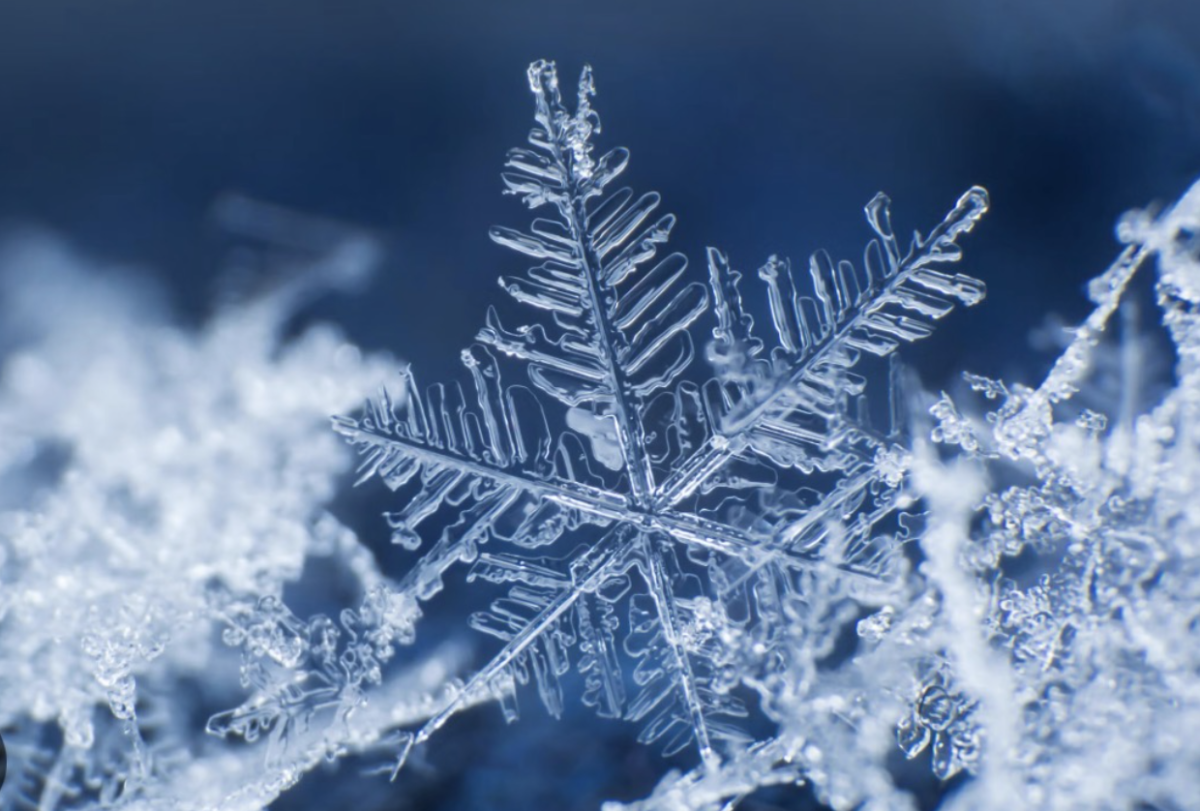 A snowflake on a snowy day