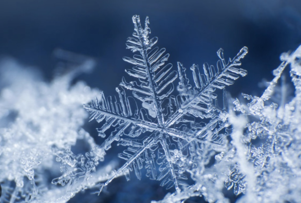 A snowflake on a snowy day