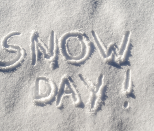 Snow day in the snow