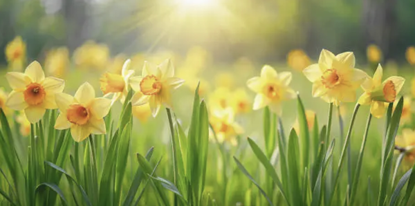 Spring Inspired Poetry!

