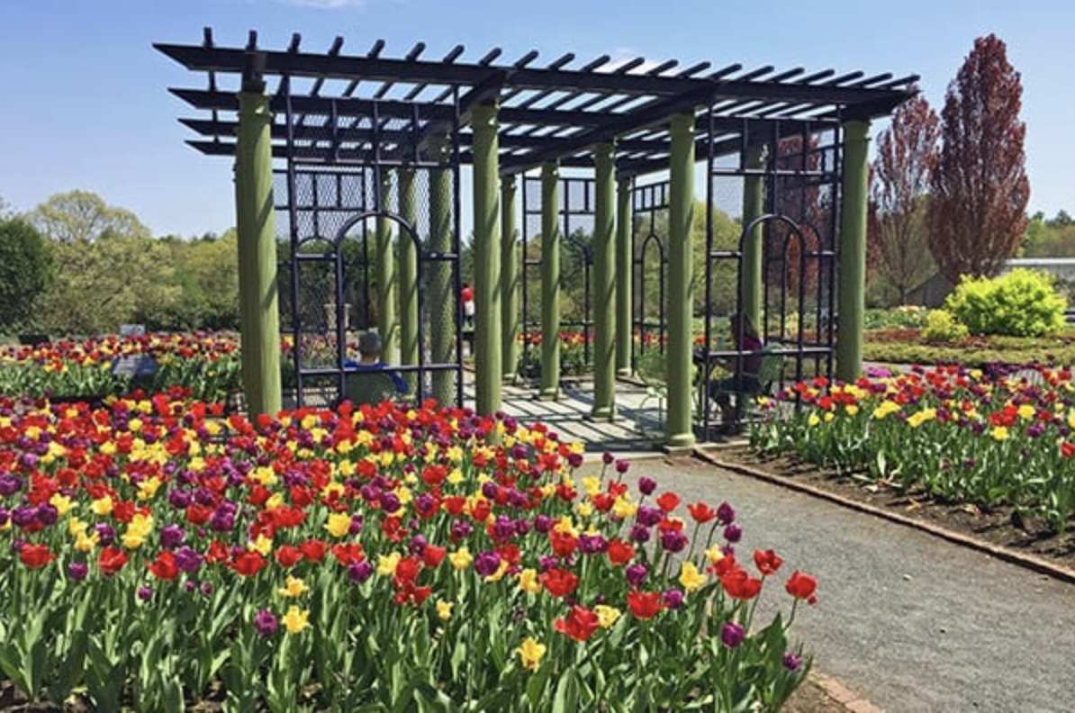 Botanical Gardens
