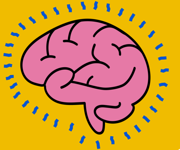Concussion Awareness Day