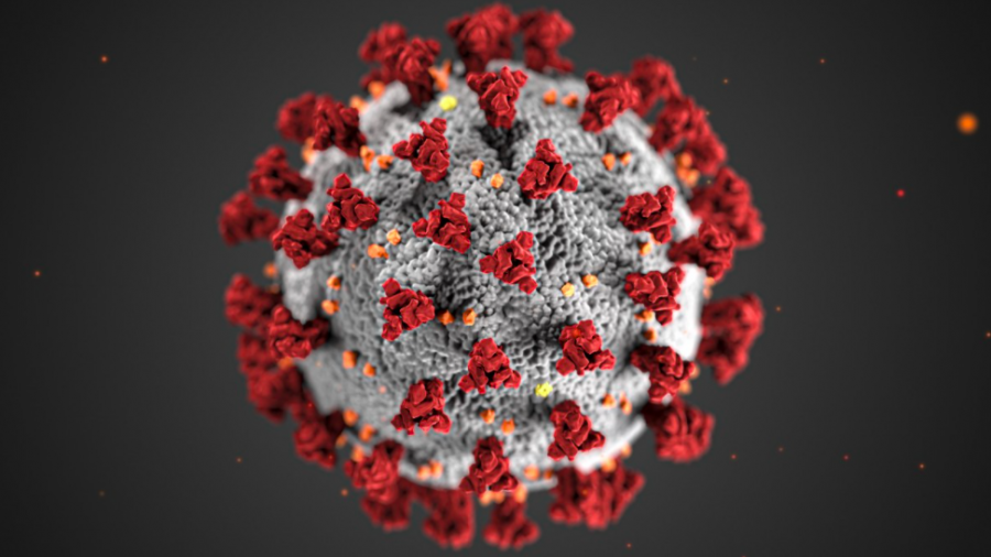 Image of the virus that causes Covid-19.