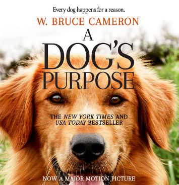 video of a dogs purpose
