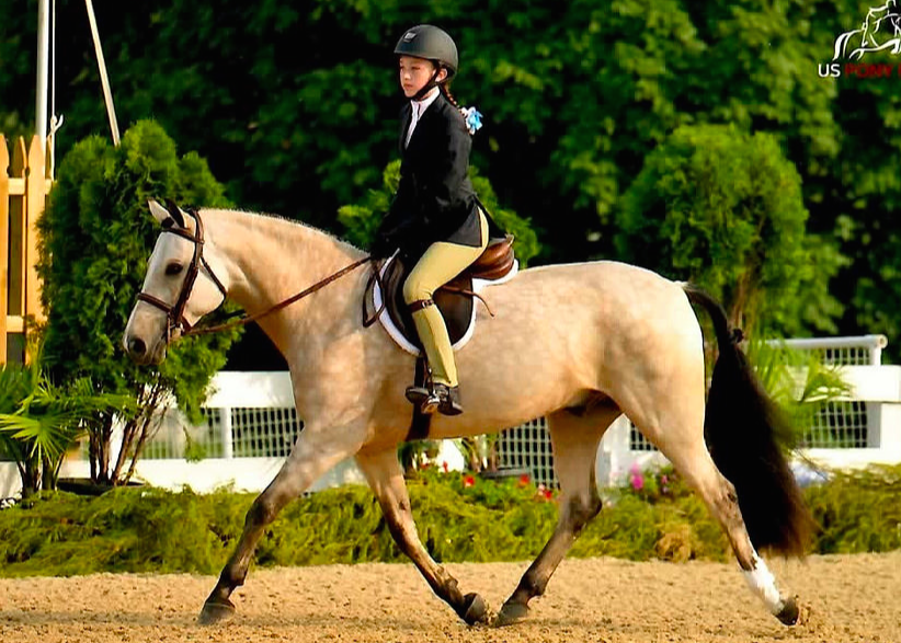 Feature: Montroses Equestrians Ride to Success