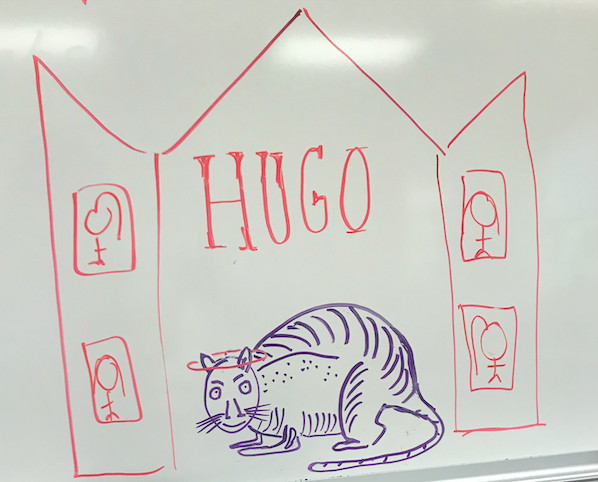 For further reference, a sketch of Hugo on the Room 13 whiteboard, circa 2019.