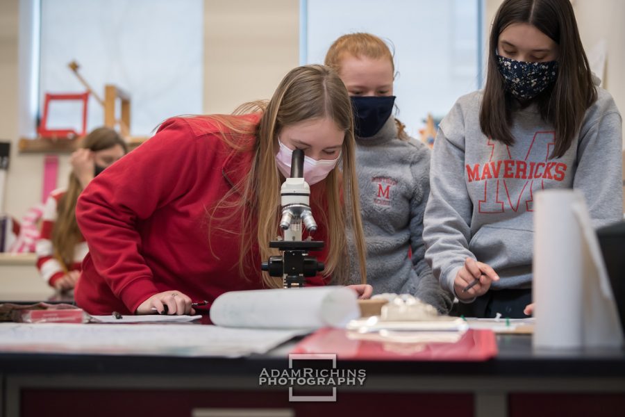 Montrose students use a microscope for a biology lab. 