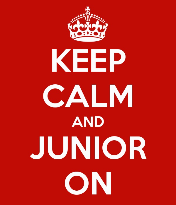 Advice+for+Juniors+Battling+the+Phantom+of+Junior+Year