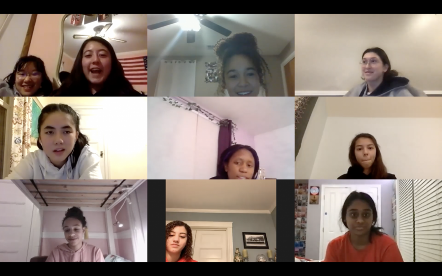 Members of the Multicultural Club in an online meeting.