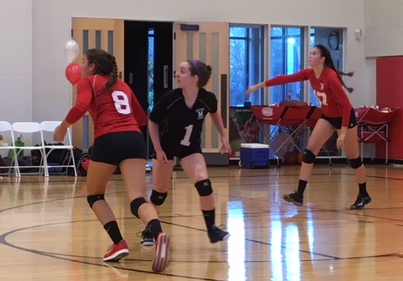 Varsity Volleyball and Soccer Dominate 1st Round of Post-Season IGL Competitions