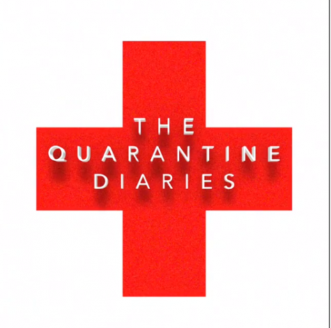 A Review on Montroses Very Own Quarantine Diaries